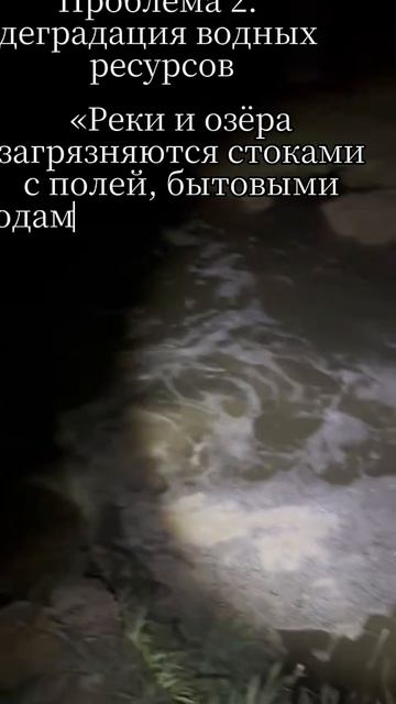 «Экологические и географические проблемы России»