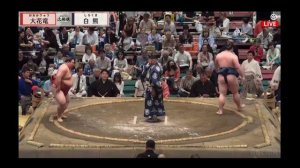 Natsu Basho 2026 Juryo Division Day 11 Sumo Сумо на русском