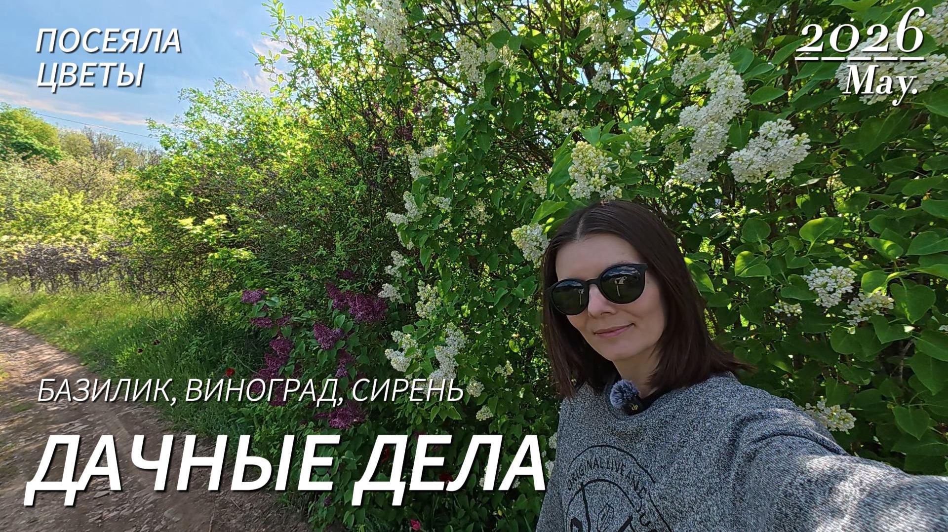 🌿 Дачные дела: рассада, виноград и базилик