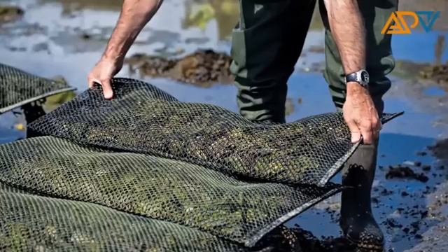 20 самых дорогих деликатесов мира.
