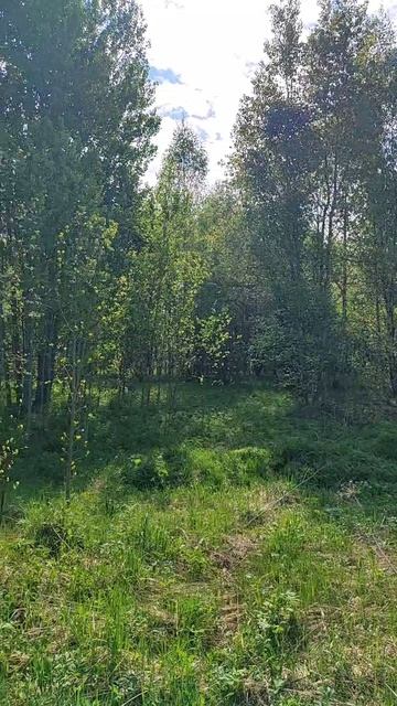 З/у с к.н. 50:28:0110329:1437, расположенный по адресу: МО, г.о. Домодедово, с. Вельяминово