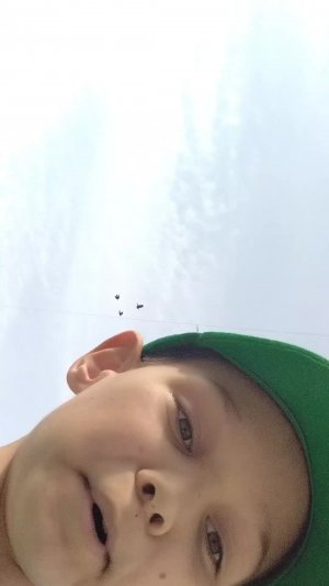 гуляем