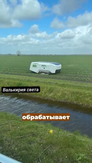 VID_20260520_141754_815.mp4