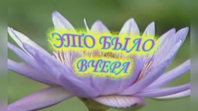 Караоке  «Это было вчера»,  Михаил Круг,  1995г.