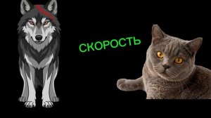 БИТВА МЕЖДУ ГИПЕР САВОЙ 007 И КЕВИНОМ.
КТО ПОБЕДИТ?