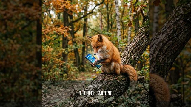 Частушка