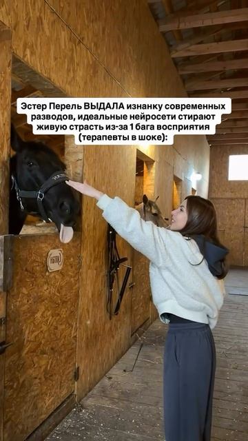 Читай описание👇🏻