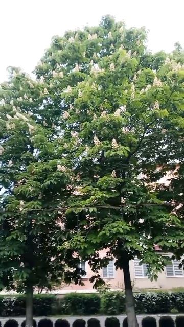 Днестровск.