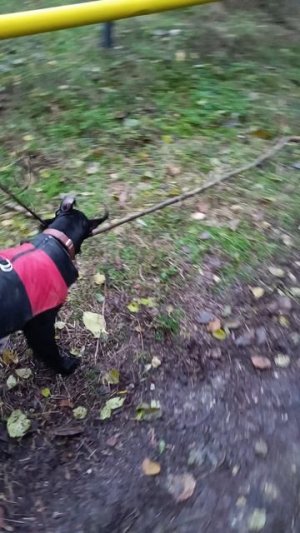 Video.Guru_20240904_143330484