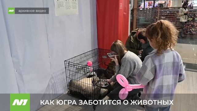 Форум гуманного отношения к животным. Москва