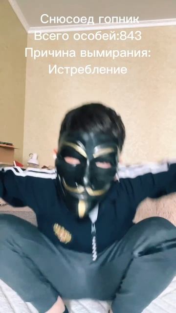 Редкие виды снюсоедов