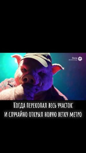Когда перекопал весь участок #мыски #хряк #дыркокопатель #прикол #юмор #шутка #дача #огород