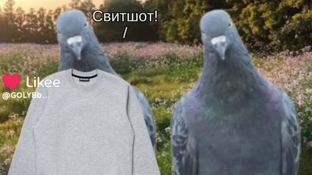 1000031441.mp4