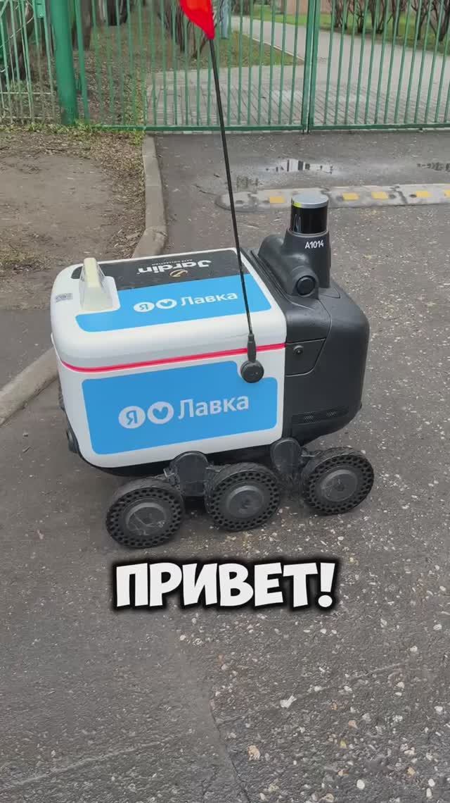 14-й заплутал. #роботы #Яндекс #ровер