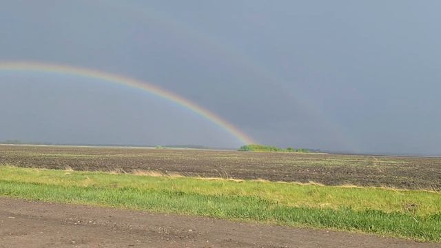 Удивительно красивая радуга. Тамбовская область