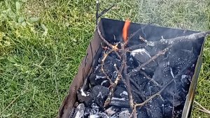 делаю шашлык но в конце нету я отключил камеру покажу как огонь загребать