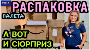Дождались сюрпризы 😁 Половина находок оставили себе👍 Распаковка палета. Amazon. США