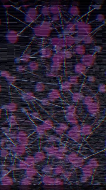 1000054543.mp4