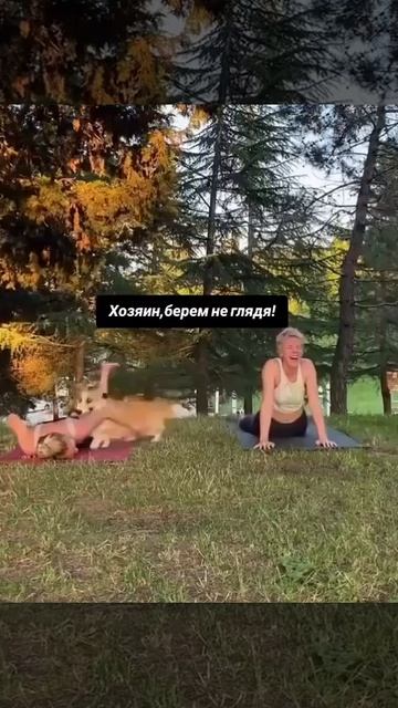 Видео от Департамент Вирусного Контента | ДВК