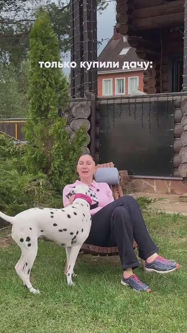 3 стадии огородничества😂Кто сейчас на какой?