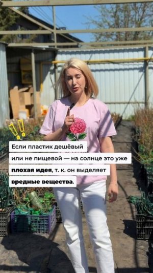 НЕ ВЕДИТЕСЬ: 90% ЭТИХ “ЧУДО-ПЛОДОВ” — ФЕЙК