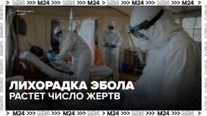 В ВОЗ сообщили о 139 смертях от лихорадки Эбола - Москва 24