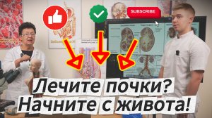 Диагностика нарушений почечного кровообращения