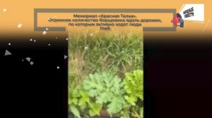 НАРОДНЫЕ НОВОСТИ: Так светлее. Сорняк-победитель. Ароматы весны