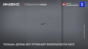 Польша: дроны ВСУ угрожают безопасности НАТО