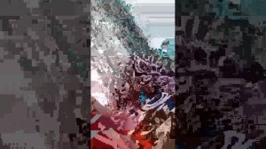 еще 3 трансляции