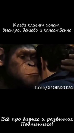 Боль любого предпринимателя