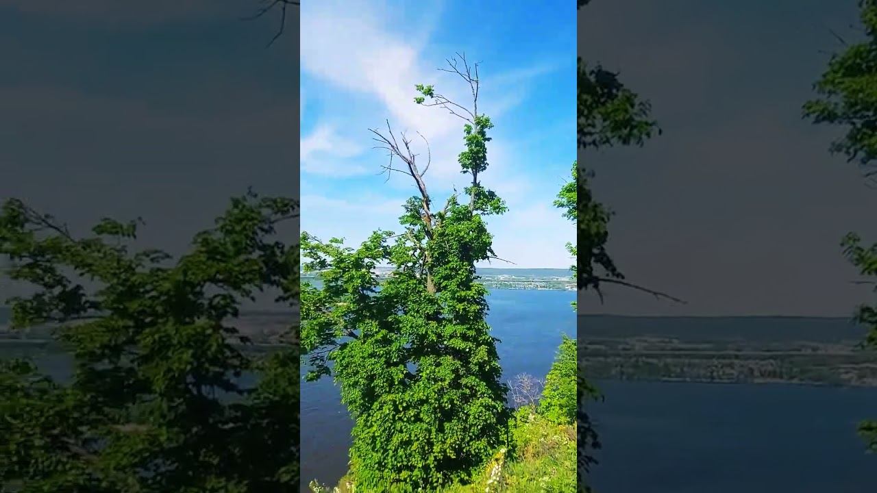 Россия  #самара #природа #лето #самара63 #пенза #ульяновск #nature