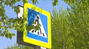 «Зебра» (19.05.26)
