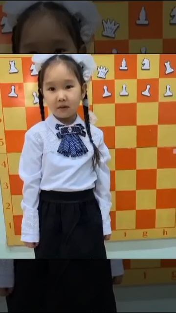 стихи о шахматах