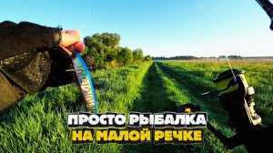В этом ручье полно ЩУКИ , но ее размеры УДИВЛЯЮТ | Рыбалка на спиннинг