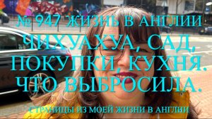 Что заказала. Наш сад, кухня. Что задымилось? № 947 Жизнь в Англии
