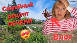 Влог Кулинарно- Огородный. Клещ 🤦♀️.Печень по моему рецепту.Салат из того,что было.🤷♀️ Озон