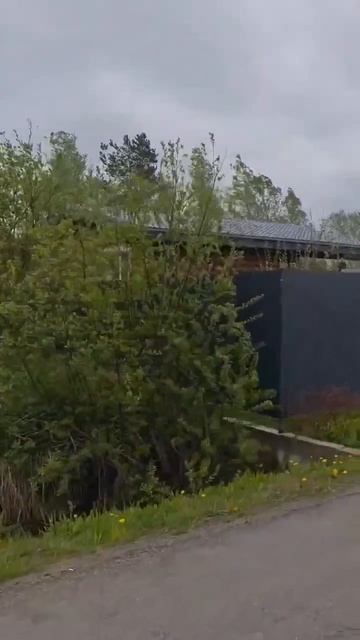 137505.mp4