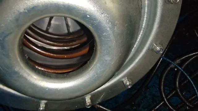 16743872465566