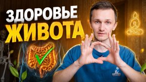 ЗДОРОВЬЕ ЖИВОТА - ПЛАН КУРСА - Антон Шахманов