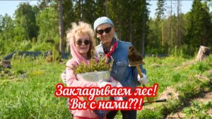 ❤️От сердца к сердцу ❤️
