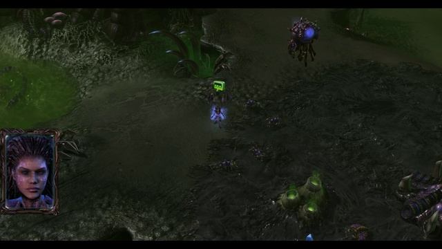 StarCraft 2. Heart of the Swarm 10 Захват власти