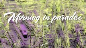 Unlodge - Morning in paradise #deep_house