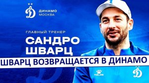 Шварц - новый тренер «Динамо»? С ЦСКА - не срослось?