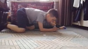 игра в кальмара