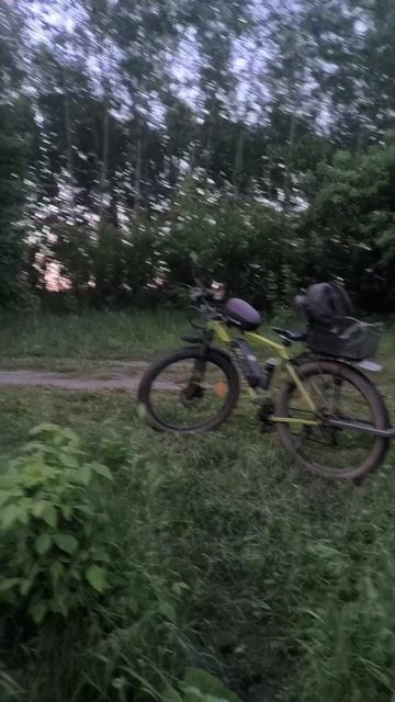 рыбалка на закате