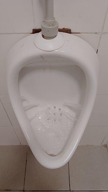 VID_20260520_072047