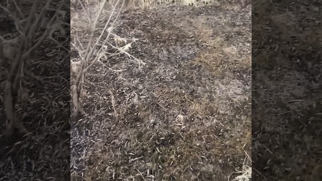 Воронка водоворота 🌀