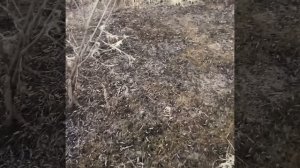 Воронка водоворота 🌀