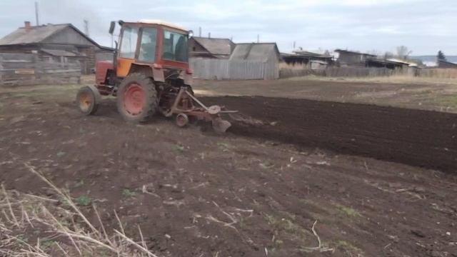Трактор🚜 Т-25 пащет огород, самодельный плуг